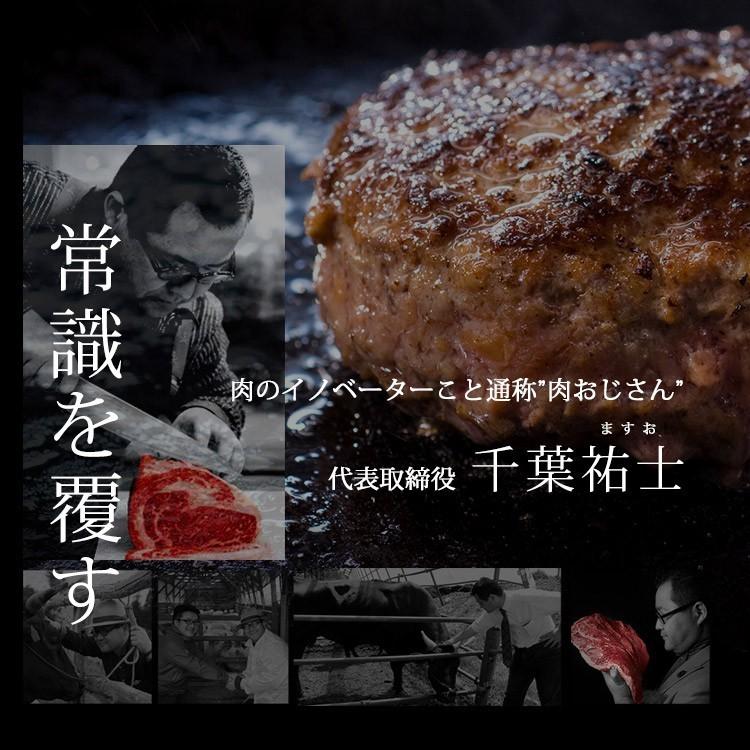 格之進 牛醤 ハンバーグ 20個セット ギフト 冷凍 送料無料 無添加 国産牛 白金豚_9