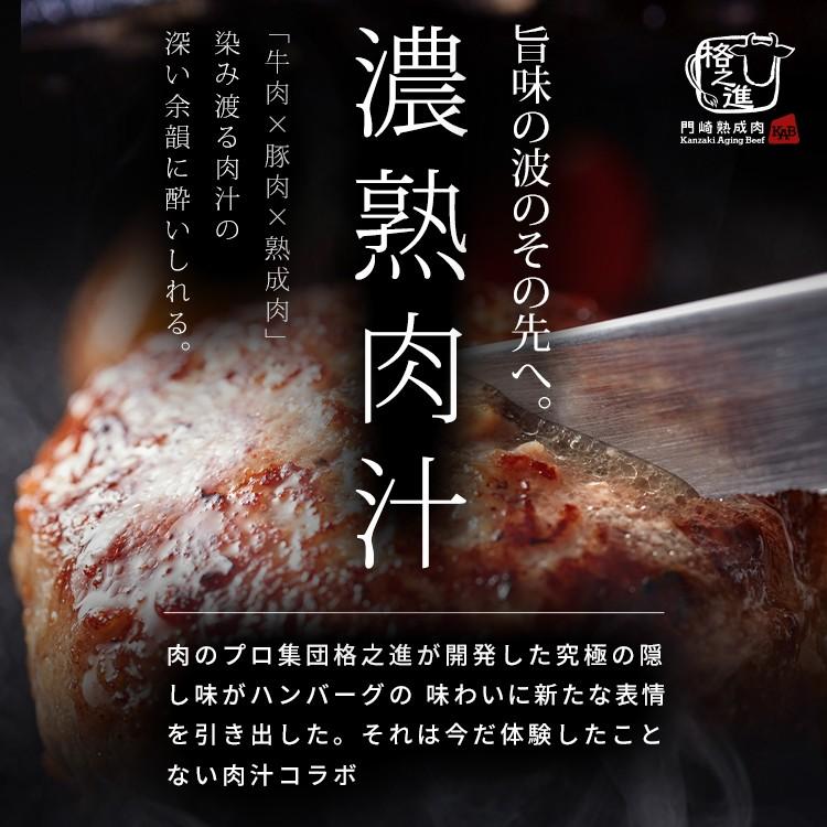 格之進 牛醤ハンバーグ 5個セット ギフト 冷凍 送料無料 無添加 国産牛 白金豚（新パッケージ）｜kakunoshin｜02