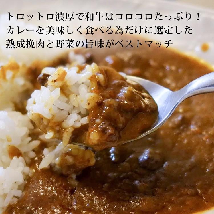 格之進 ビーフカレー 和牛 国産 黒毛和牛 レトルト ギフト 門崎 熟成肉