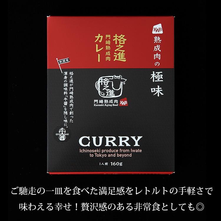 格之進 ビーフカレー 和牛 国産 黒毛和牛 レトルト ギフト 門崎 熟成肉