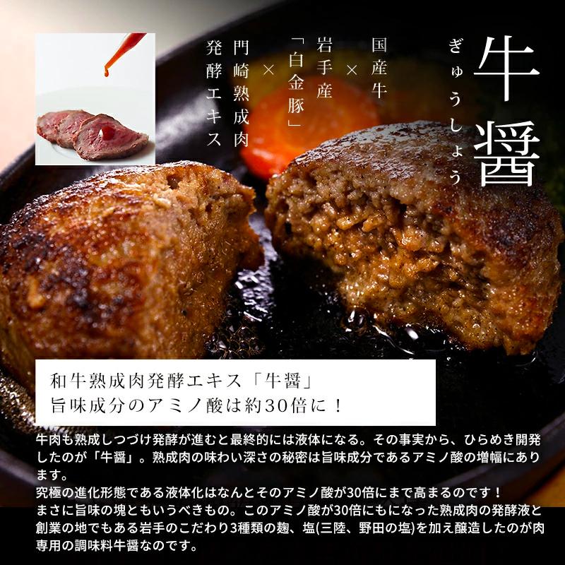冷凍 格之進 ハンバーグ ギフト 格之進ハンバーグバラエティセット各2個合計10個入 国産牛 白金豚_17