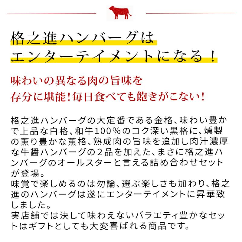 冷凍 格之進 ハンバーグ ギフト 格之進ハンバーグバラエティセット各2個合計10個入 国産牛 白金豚_2