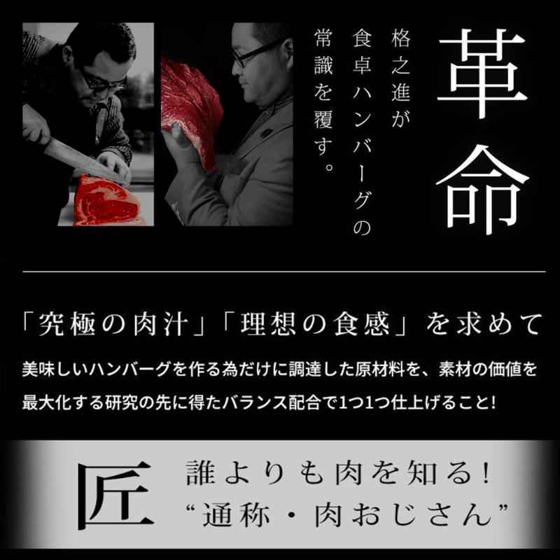 冷凍 格之進 ハンバーグ ギフト 格之進ハンバーグバラエティセット各2個合計10個入 国産牛 白金豚_8
