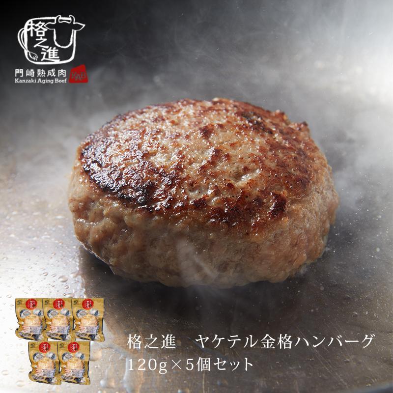 格之進 ハンバーグ レトルト 冷凍 温めるだけ ヤケテル金格 5個