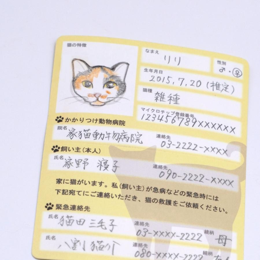 家に猫がいます 緊急情報カード クレジットカードサイズ 3枚セット