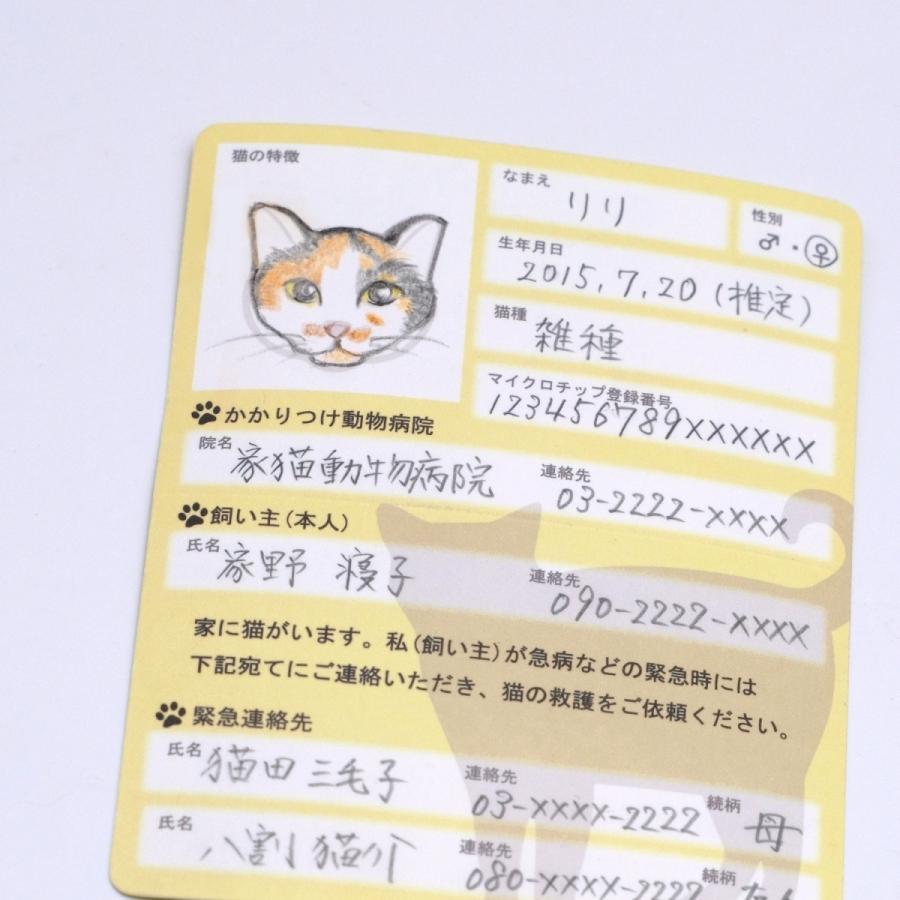 家に猫がいます 緊急情報カード クレジットカードサイズ 1枚入り