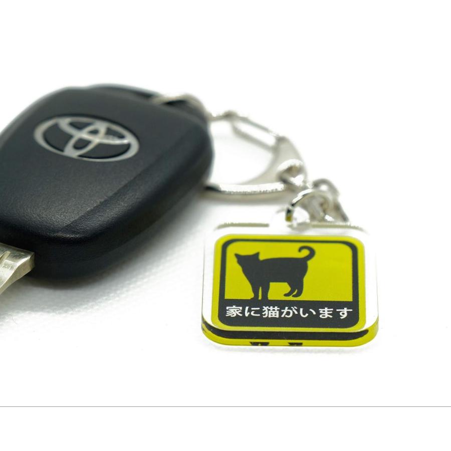 EXO カイ ニニクマとキーホルダーセット 家に猫がいます