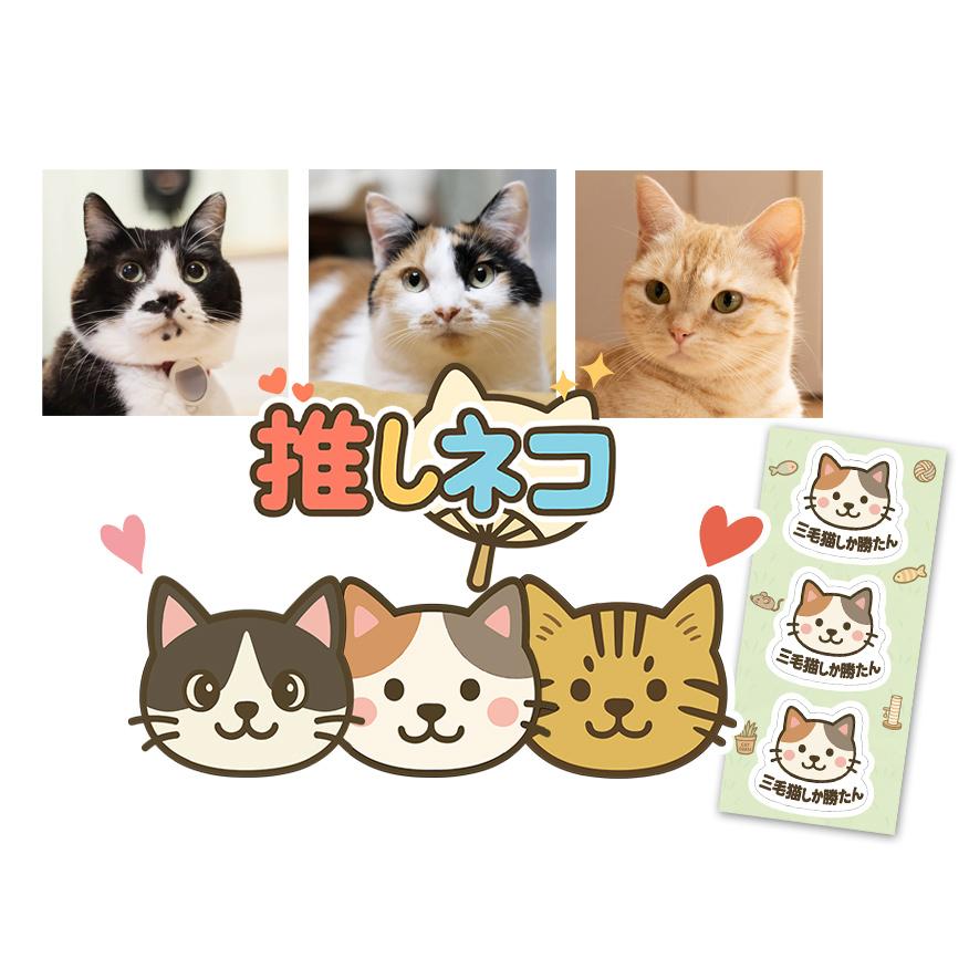 推しネコ 三毛猫しか勝たん キーホルダー 3.5cm : kakuo gadgets