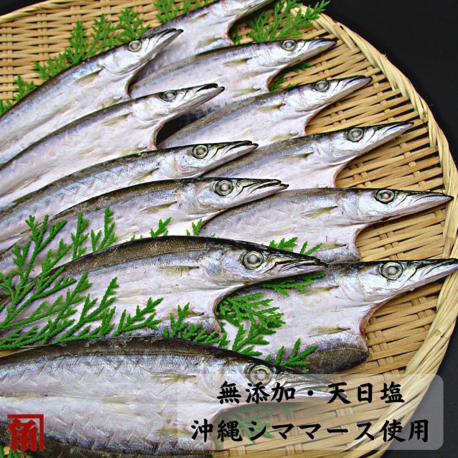 干物 無添加 かます 赤かます 開き ２０枚入 カマス 伊勢志摩 角助屋 送料無料 国産 千葉県 A 22 干物丸干しの角助屋 通販 Yahoo ショッピング