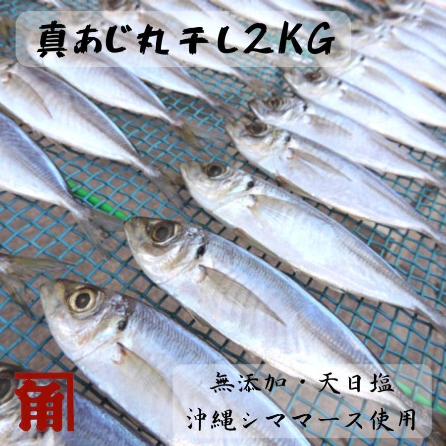 干物 無添加 あじ 真あじ 丸干し ２ｋｇ 伊勢志摩 角助屋 送料無料 国産 アジ 真鯵 Ajimaru Gyo 干物丸干しの角助屋 通販 Yahoo ショッピング