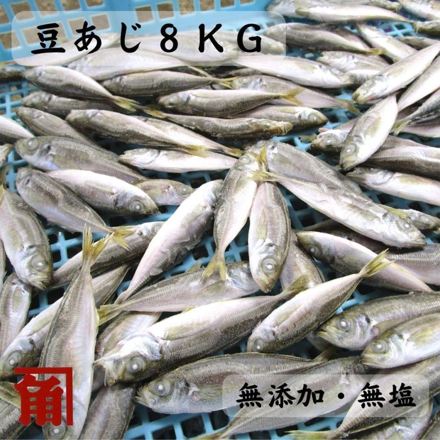 送料無料 冷凍 豆あじ 稚あじ ｉｑｆ ８ｋｇ 業務用 無塩 伊勢志摩産 他商品同梱不可 M 1k 干物丸干しの角助屋 通販 Yahoo ショッピング