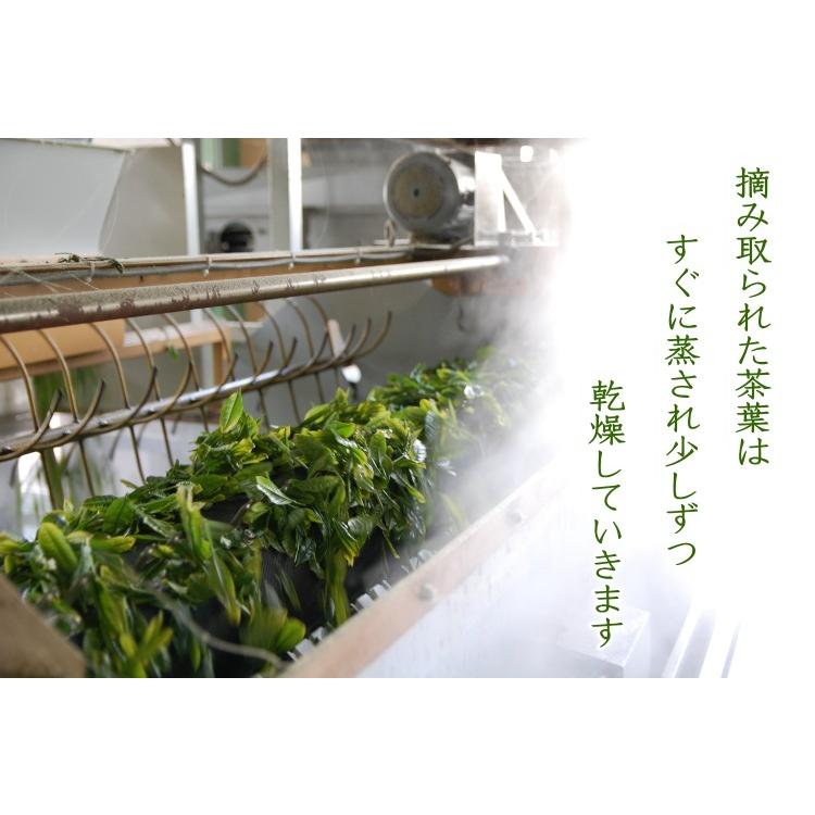 お茶 茶農家の愛用茶 2キロ 緑茶 日本茶 荒茶 深蒸し茶 2kg 業務用