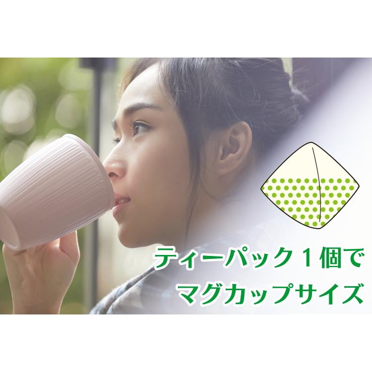 べにふうき茶 ティーバッグ 鹿児島産 ２ｇｘ５０個 お茶 緑茶 べにふうき コミコミ1000円 送料無料 天然メチル化カテキン ＼ムズムズ対策のスーパーフード！／｜kakuto｜03