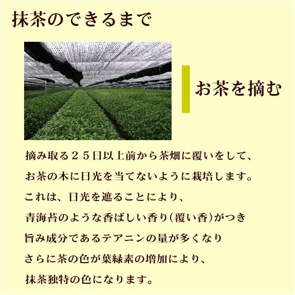 抹茶 MATCHA 100%西尾の抹茶 ２Kg（１Kg×２袋） 石臼挽き 愛知県産 西尾の抹茶 抹茶スイーツ作りに お点前練習用に最適 2キロ 粉末茶 業務用 送料無料