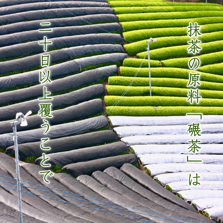 抹茶 MATCHA 宇治抹茶 【在庫あり】 ミル挽き 200g 抹茶スイーツ作りに 小スプーン付き 抹茶パウダー スイーツ お菓子作り 抹茶ラテ 抹茶オレ 送料無料