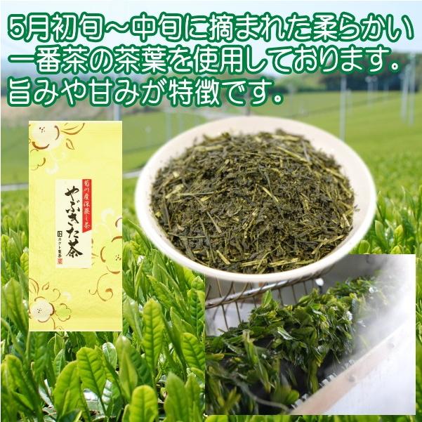 【2023年産】お茶 緑茶 煎茶 お試しセット やぶきた茶 愛用茶 翠風 3本セット 送料無料 1000円ポッキリ｜kakuto｜05