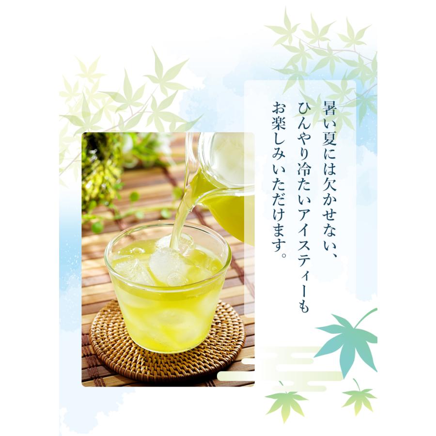 抹茶 MATCHA 粉末茶 2品選べる粉末茶 粉末緑茶 粉末玄米緑茶