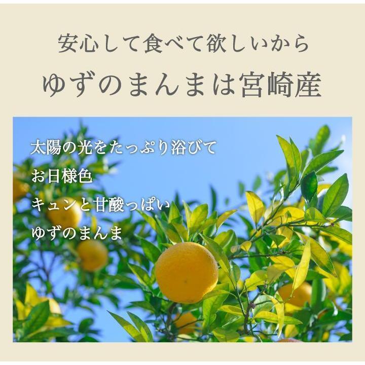 ゆずピール 500g 通販激安 ゆずのまんま 九州産 ドライフルーツ 国産 柚子ピール 宮崎 素材菓子 おつまみ 業務用 大容量 ユズピール おやつ 糖漬け