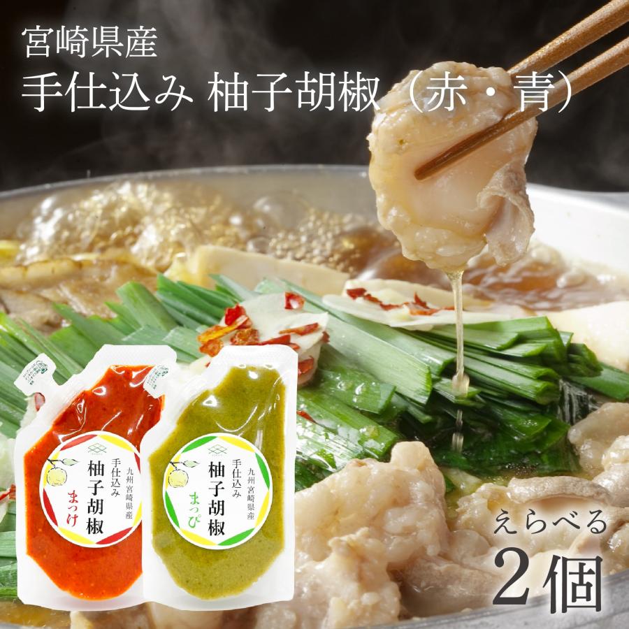 長野県産一味青唐辛子　国産ゆずこしょう各100g ×2袋セット 赤青 柚子胡椒 100g セット 無添加 チューブ ゆず胡椒 九州 宮崎