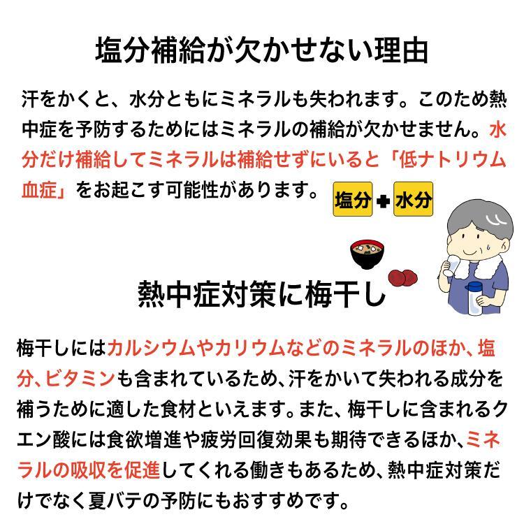 梅干し 個包装 無添加 紀州 南高梅 2袋 塩分 20% 昔ながら しょっぱい 熱中症 対策 工事現場 和歌山 完熟 白干し お弁当 おやつ 国産｜kakuya-foods｜07