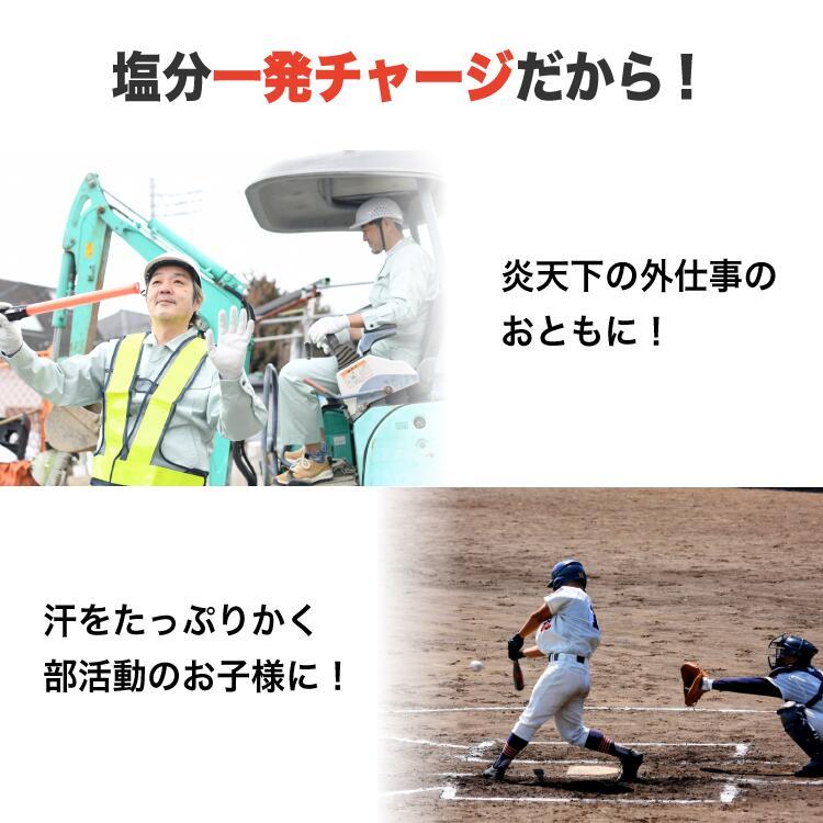 梅干し 個包装 無添加 紀州 南高梅 2袋 塩分 20% 昔ながら しょっぱい 熱中症 対策 工事現場 和歌山 完熟 白干し お弁当 おやつ 国産｜kakuya-foods｜08