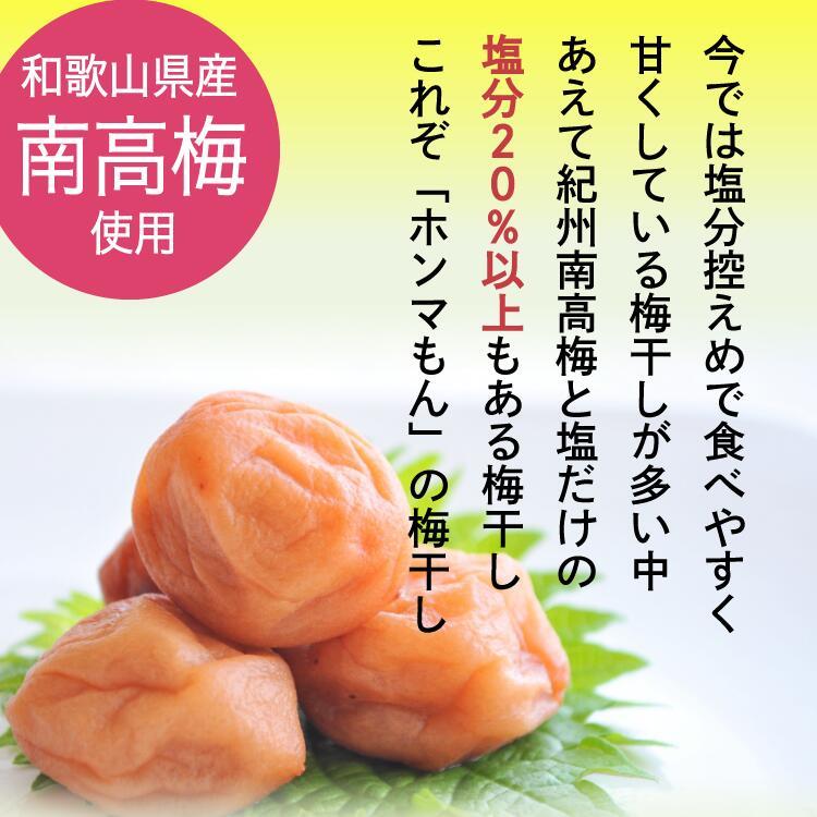 梅干し 個包装 無添加 紀州 南高梅 6袋 塩分 20% 昔ながら しょっぱい