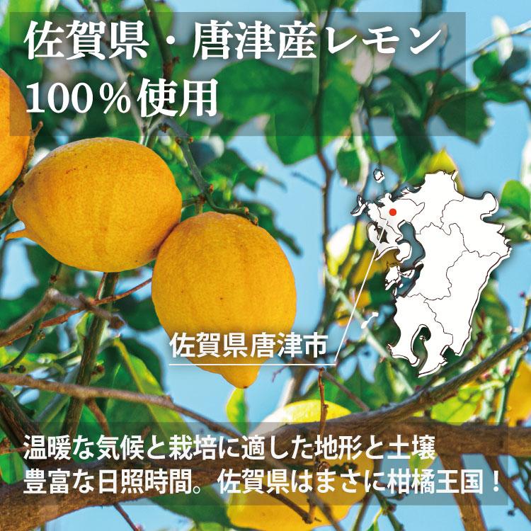 レモンピール 国産 400g ドライフルーツ ノーワックス レモンのまんま