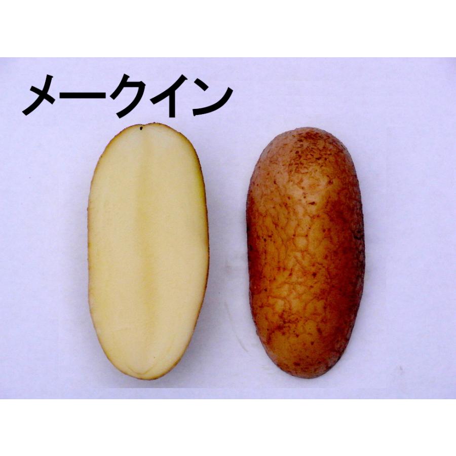 長崎県産 メークインじゃがいも 10kg じゃがいも 10kg メークイン 北海道産 送料無料 食品 : 食みらい