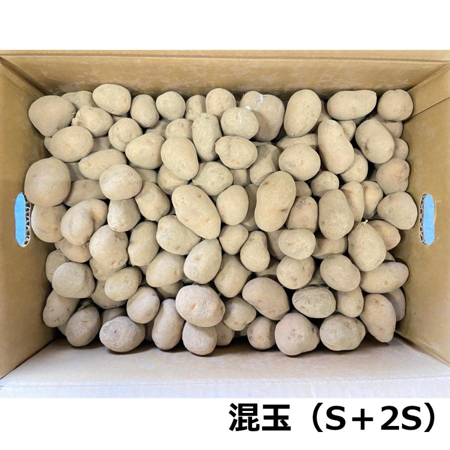 青森県産 じゃがいも 種芋 インカのめざめ 10kg : 農業資材専門 青森県産 じゃがいも 種芋 インカのめざめ 10kg : 農業資材専門