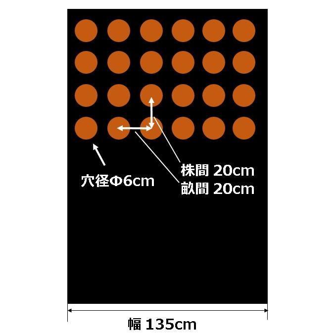 三共 黒ホールマルチ #3620 0.02mm×1350mm×200m 1本 : 農業資材専門店