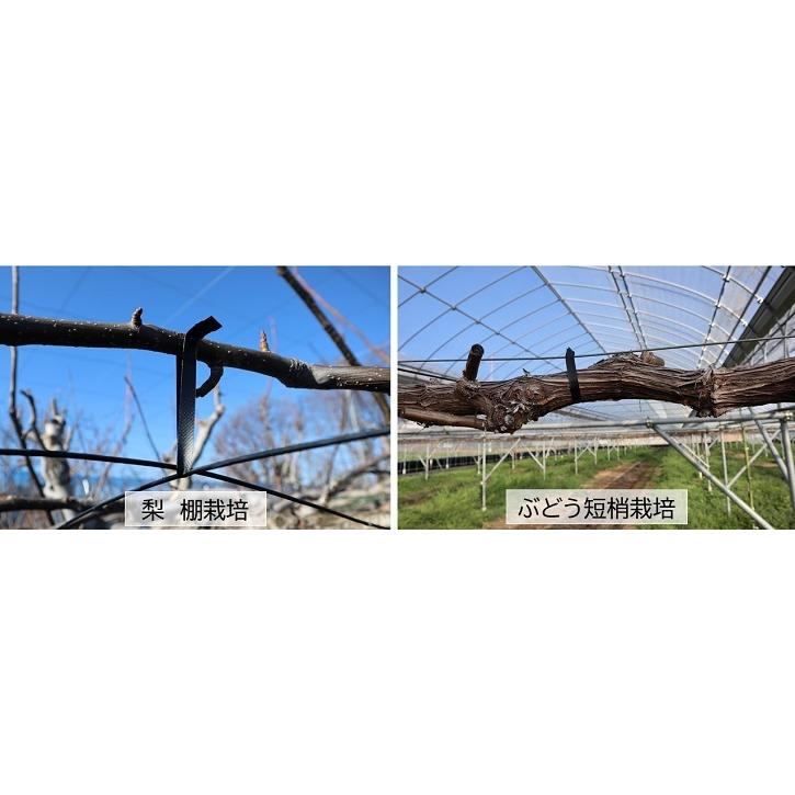 マックス（MAX） 園芸用結束機 強保持力テープナー HT-S60E : 農業資材