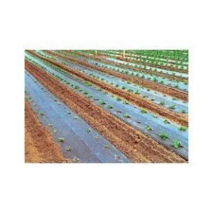 国産 三共 黒マルチ 0.02mm×210cm×200m 1本 個人宛配送不可 : 農業資材