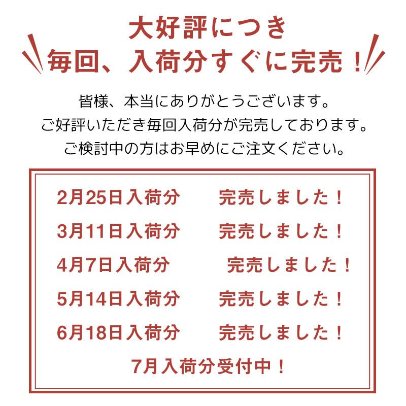 子供用 浮き輪 足入れ 座付き ベビーフロート うきわ 赤ちゃん用 キッズ 浮き具 安定感 夏 SNS映え 水遊び ビーチ プール 海水浴1〜3歳用 ポイント消化|kalany-store|03