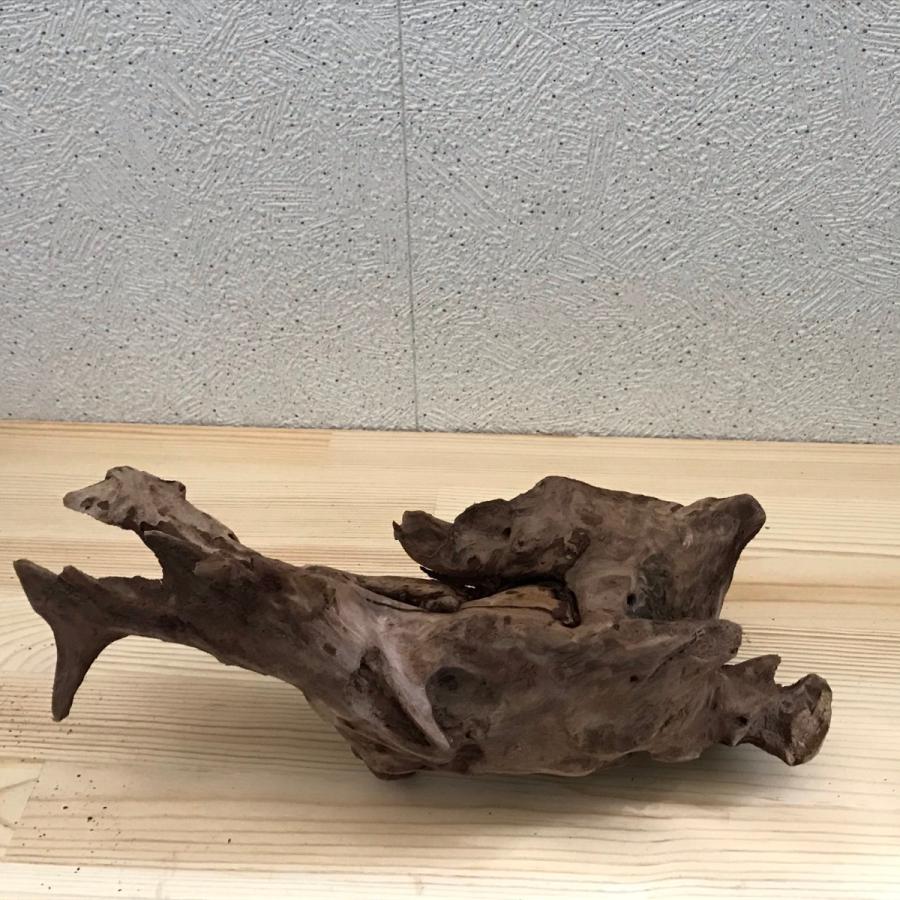 アクアリウム・ハンドメイド・エアープランツ向け 流木 - 通販
