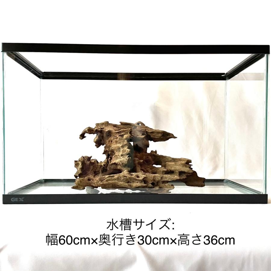 カリム流木 自然流木 中型 60cm水槽 マングローブ流木 アクアリウム エアプランツ 寄せ植え 店舗装飾 ハンドメイド bl1 Kalim 通販 Yahoo ショッピング
