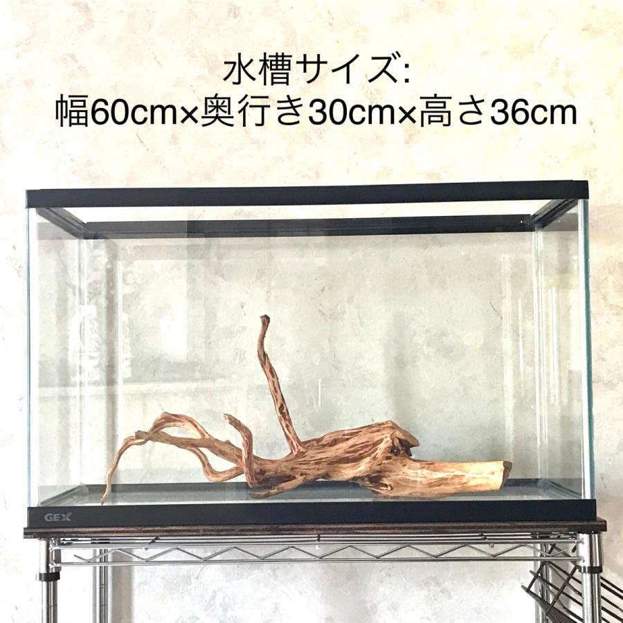 85 Off 流木 中型 ブランチウッド M インテリア アクアリウム 自然流木 60cm水槽用 流木アート No 315 Hamptonroadslawfirm Com