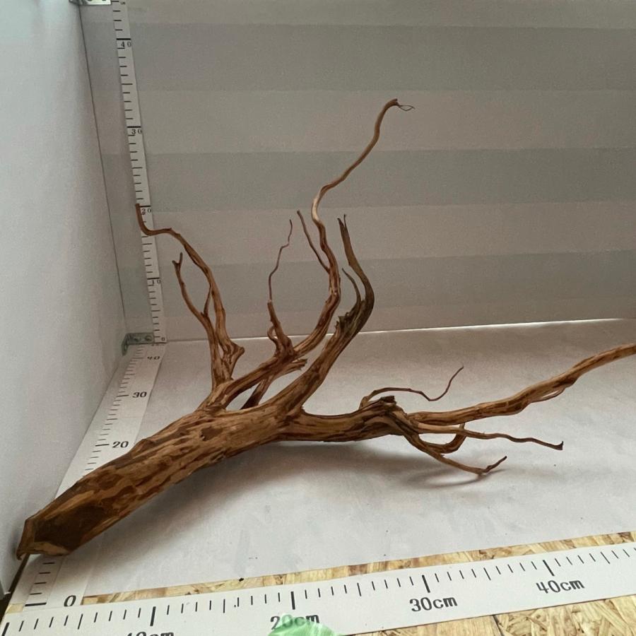 最大の割引 流木 ブランチウッド 小型 2本セット Sサイズ インテリア アクアリウム テラリウム 自然流木 小型水槽 流木アート No 303 Shipsctc Org