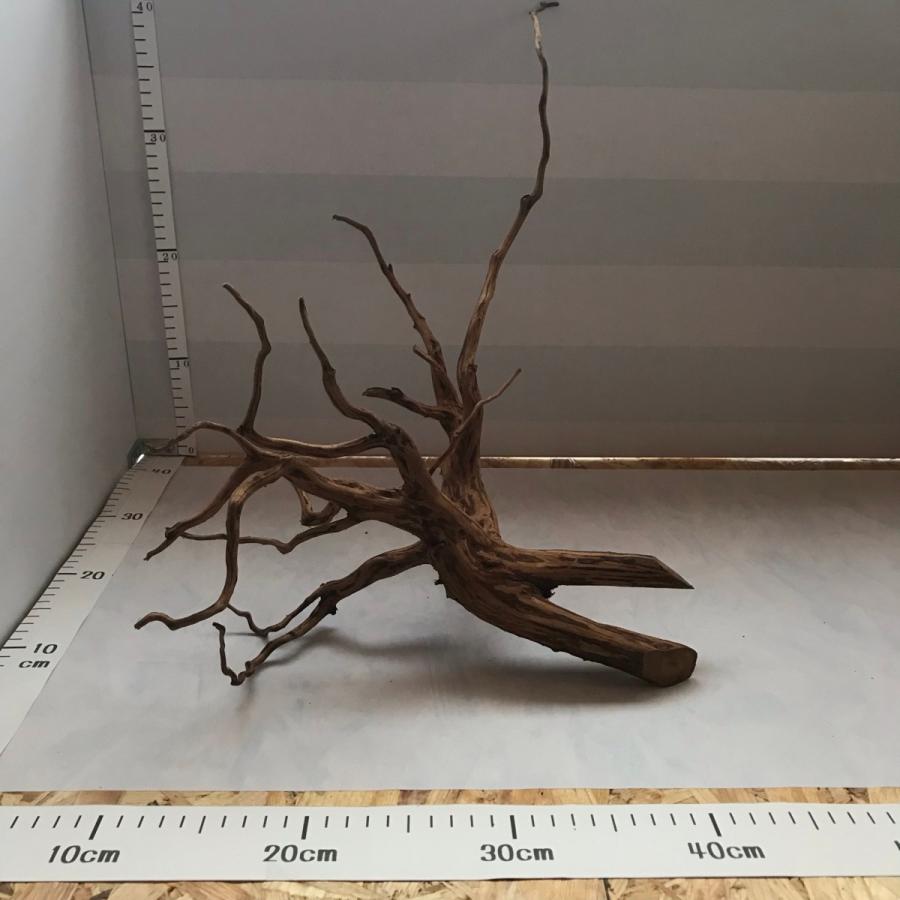 引出物 流木 大型 ブランチ 2本セット インテリア アクアリウム テラリウム 自然流木 90cm水槽用 流木アート No 535 Shipsctc Org