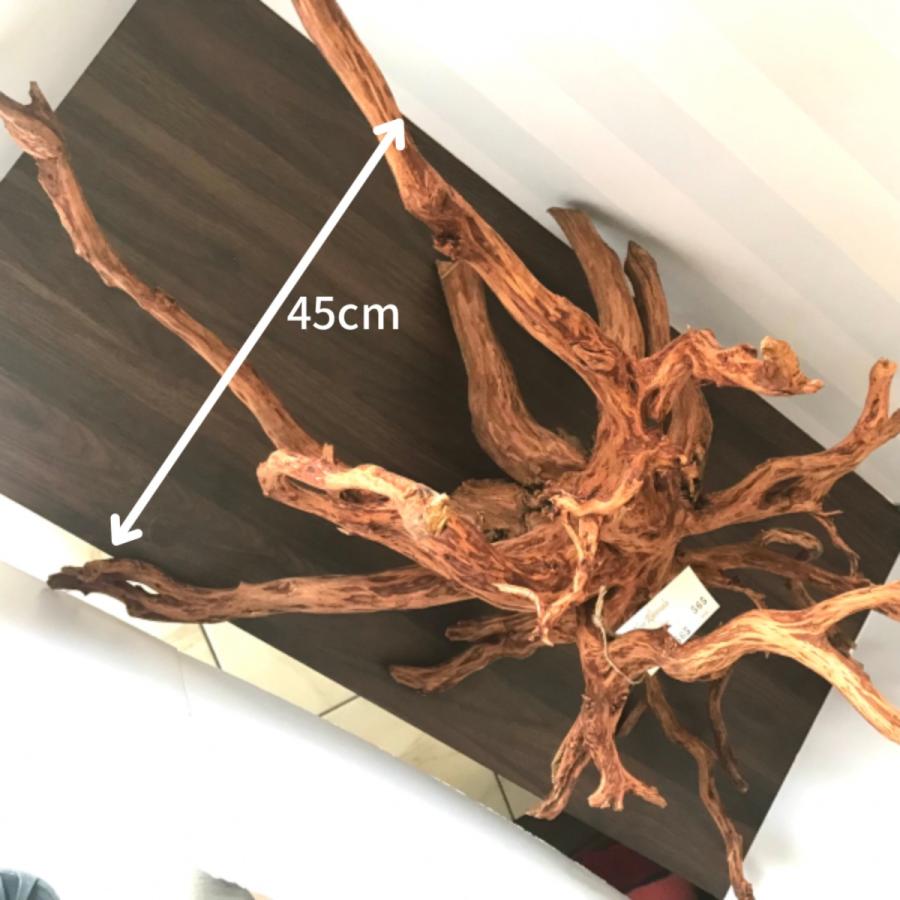 期間限定お試し価格 アクティブ アーミーズ ストレート用コアガード 50 164mm シルバー Discoversvg Com