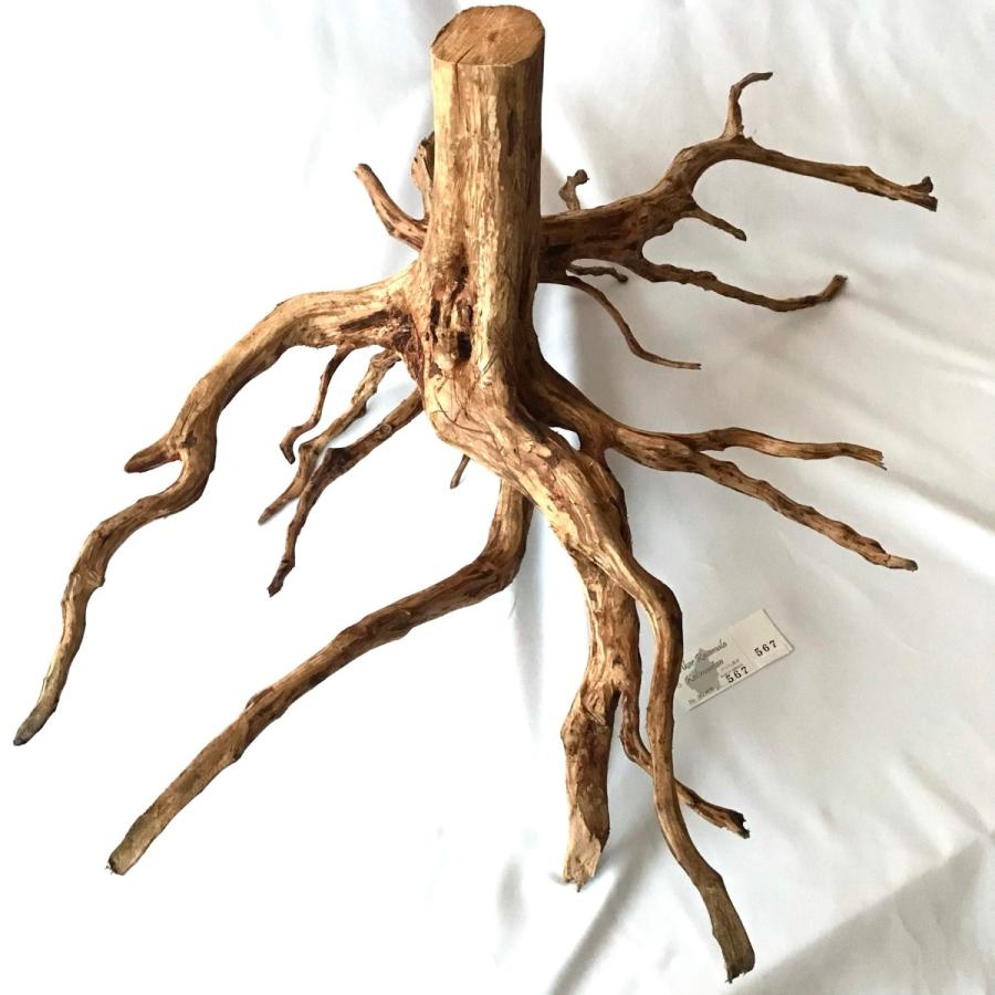 流木 超大型 Xxl インテリア アクアリウム テラリウム 自然流木 大型水槽 流木アート No 567 ax1 Kalim 通販 Yahoo ショッピング