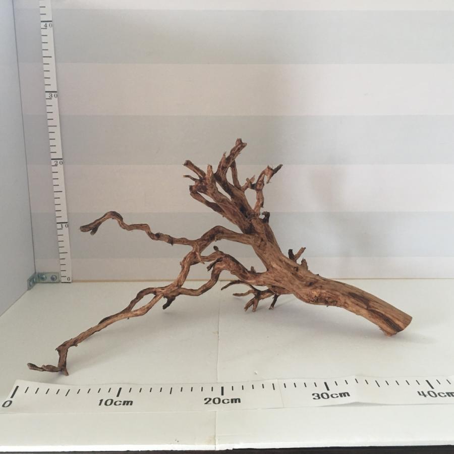 流木 中型 M 開催中 2本セット ブランチ インテリア No 596 流木アート 自然流木 アクアリウム テラリウム 60cm水槽用