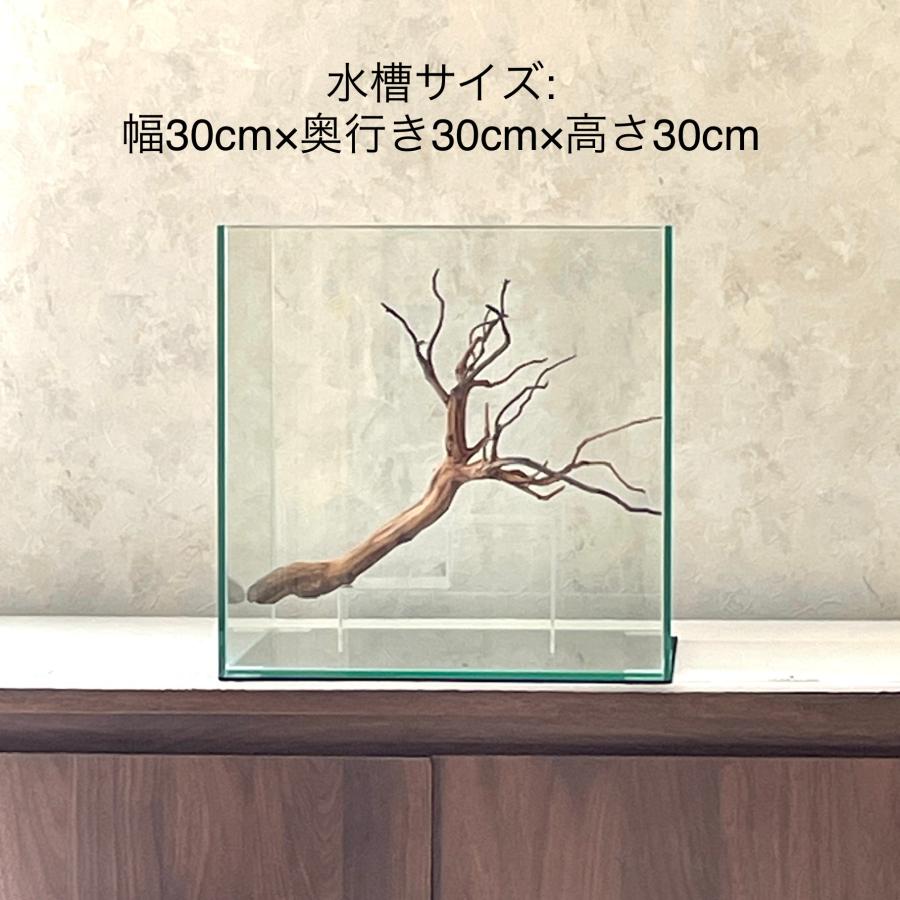 期間限定今なら送料無料期間限定今なら送料無料流木 ブランチウッド