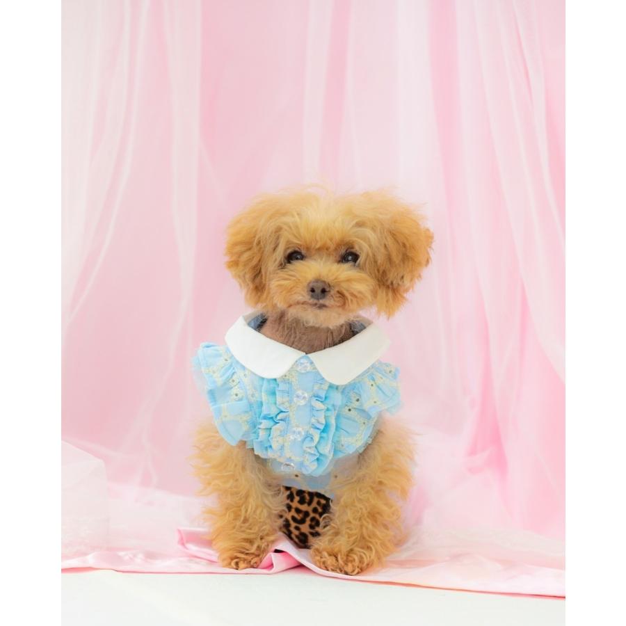 犬の服 かわいい Kalina わんこ服 かりーな ペットウェア 犬服 Happy いぬふく Bag トイプードル