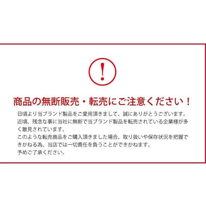 特許取得 WBS出演記念 TVで話題 ドライヤー 大風量 速乾 マイナスイオン 遠赤外線 軽量 低温 ハンズフリー 髪質改善 軽い 時短 美容 頭皮ケア 子ども ギフト |  | 14