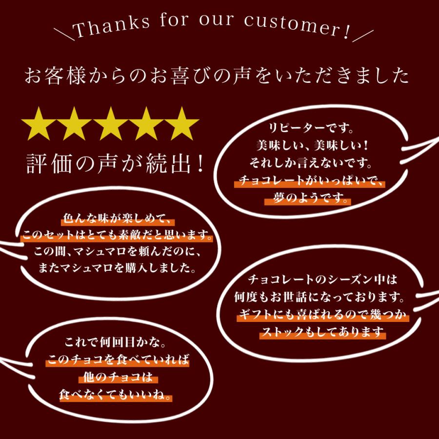 チュベ・ド・ショコラ プレミアム 割れチョコミックス 東京 自由が丘