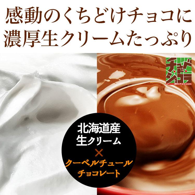 チュベ・ド・ショコラ チョコレート 生チョコ 大容量 くちどけ生