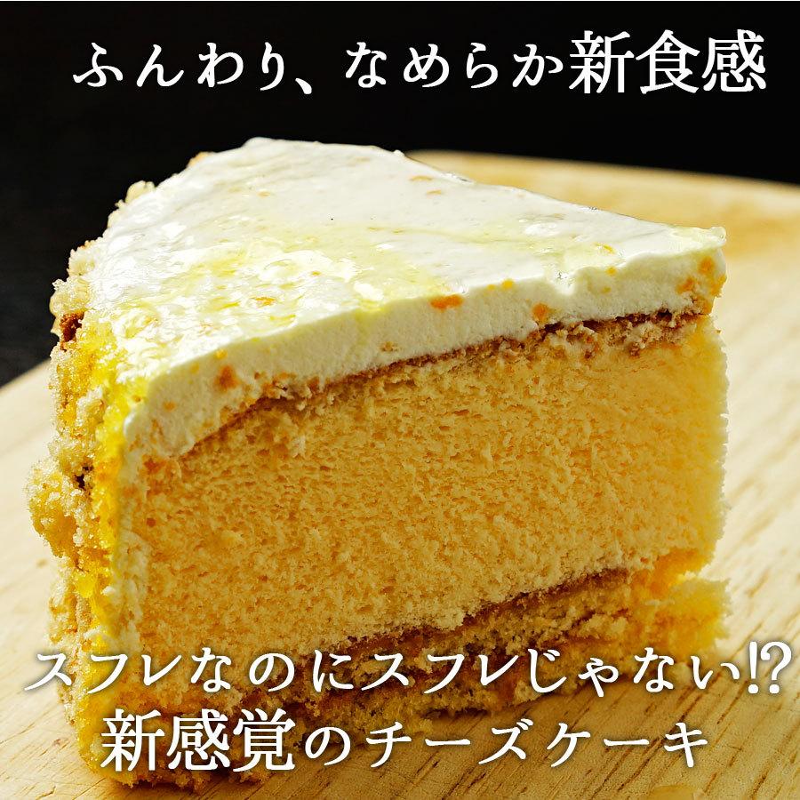 スフレミーモ スフレチーズケーキ B 割れチョコ 蒲屋忠兵衛商店 通販 Yahoo ショッピング
