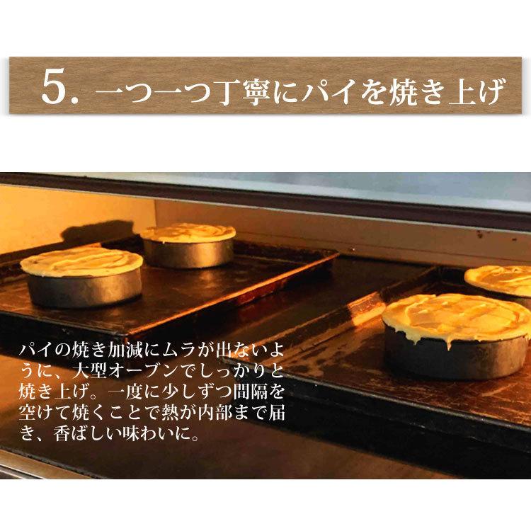 スイーツ アップルパイ ギフト 誕生日 ケーキ 焼き菓子 5号サイズ国産