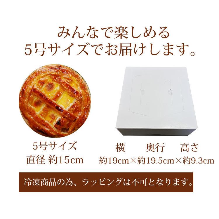 スイーツ アップルパイ ギフト 誕生日 ケーキ 焼き菓子 5号 スイーツ アップルパイ ギフト 誕生日 ケーキ 焼き菓子 5号