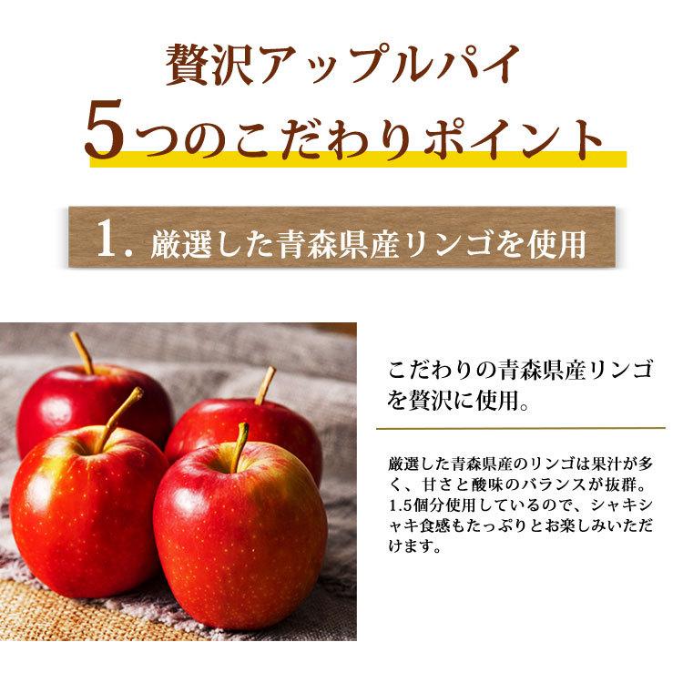 スイーツ アップルパイ ギフト 誕生日 ケーキ 焼き菓子 5号 スイーツ アップルパイ ギフト 誕生日 ケーキ 焼き菓子 5号